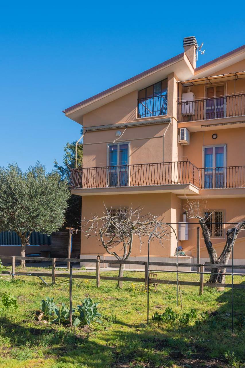 Travelershome Ciampino&Morena Guesthouse Rome Luaran gambar